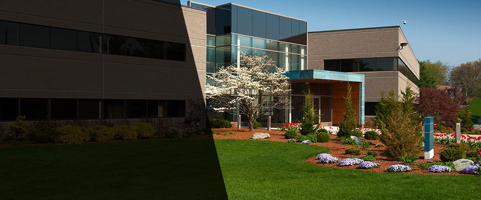 Buckley Landscapers