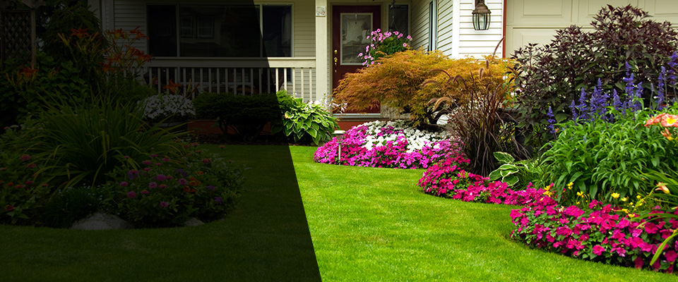 Buckley Landscapers