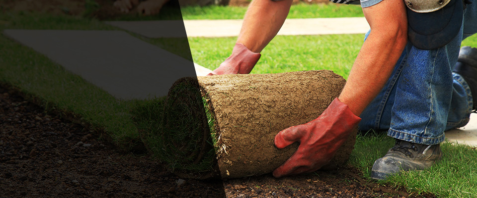 Buckley Landscapers